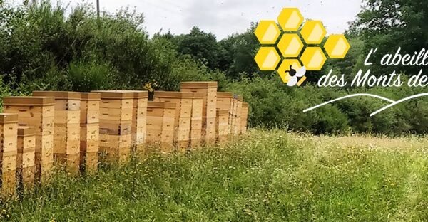 Bg Abeille des Monts de Blond