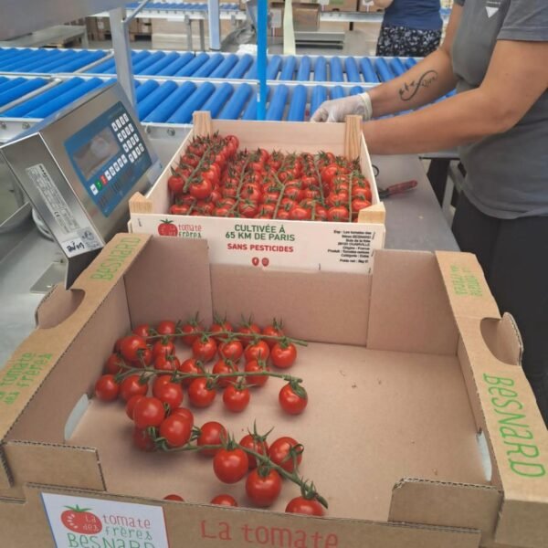 visite de son client PVM - 3