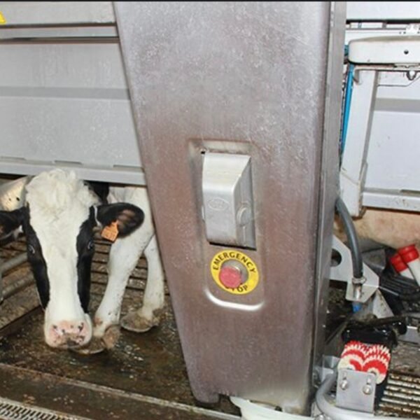 ferme des Gaboriaux - 17-08-23 - 3