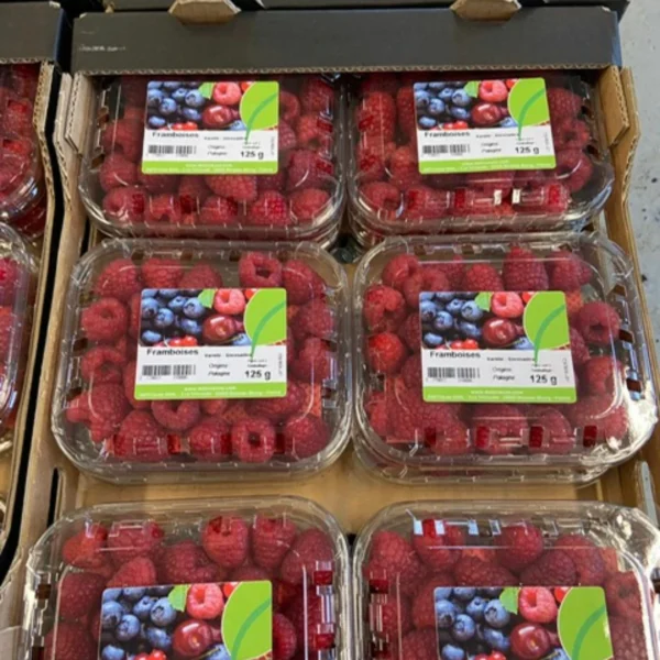 Delicreuse vous propose des framboises origine Pologne - 1