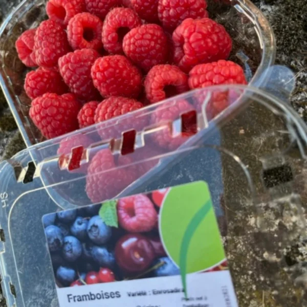 Delicreuse vous propose des framboises origine Pologne - 2