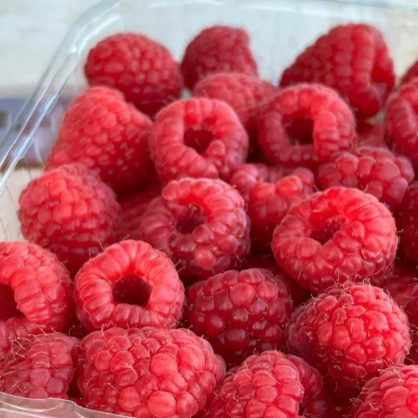 Delicreuse vous propose des framboises origine Pologne - 3