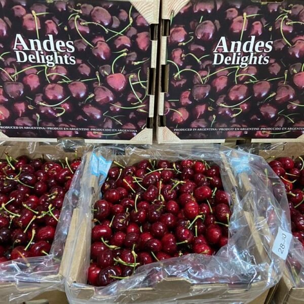 Début de saison cerises 2023 - 4