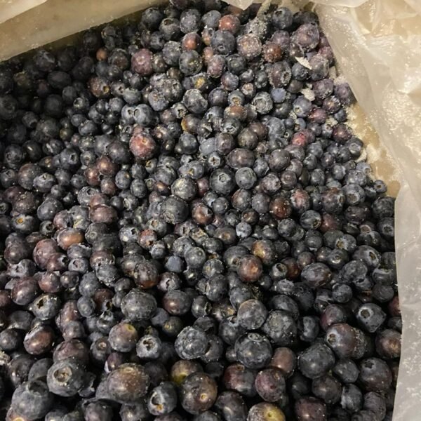 Les Myrtilles du Trimoulet - 1