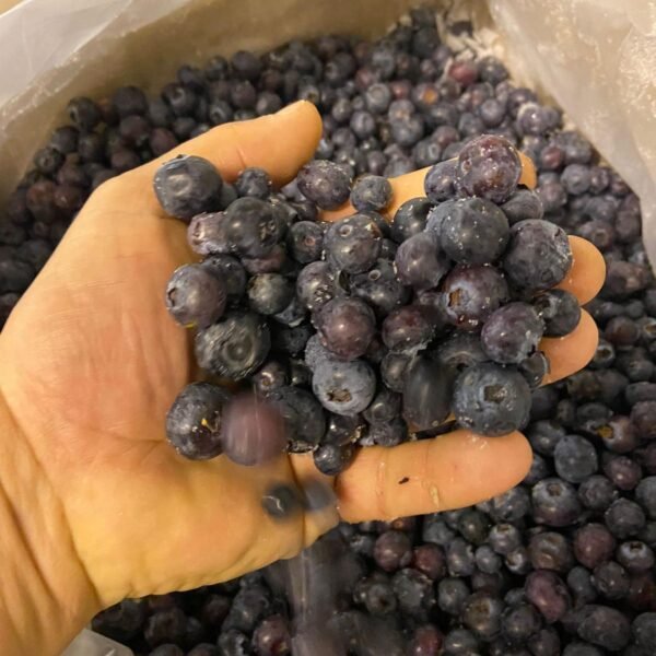 Les Myrtilles du Trimoulet - 2