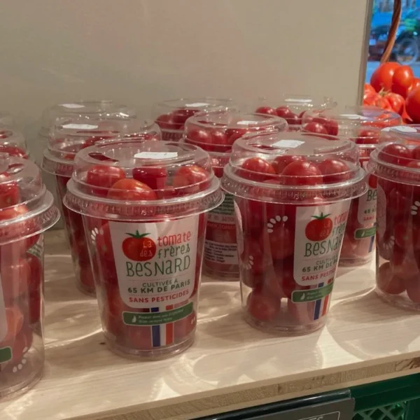 Shaker en version plastique ou carton 2025 - 1