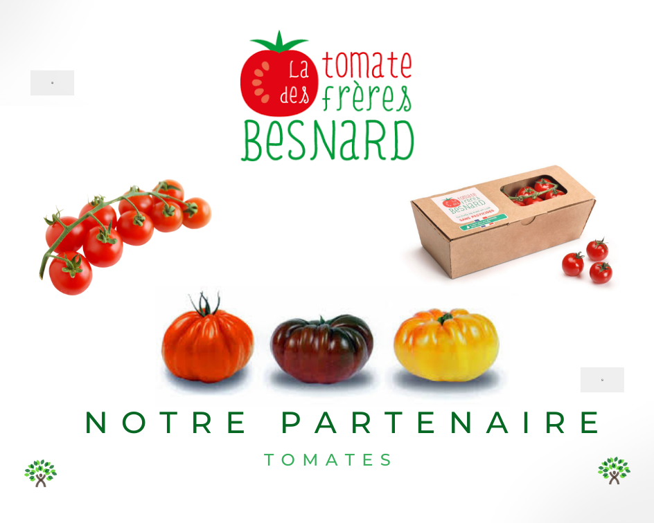 Lire la suite à propos de l’article Une nouvelle saison tomates démarre !