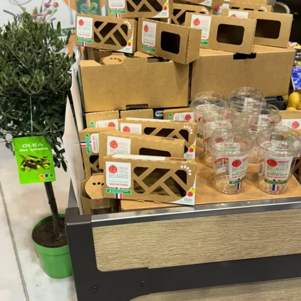 De salon en salon 2025 - 3