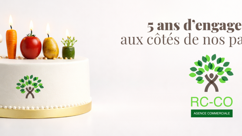 Notre anniversaire – 5 ans !